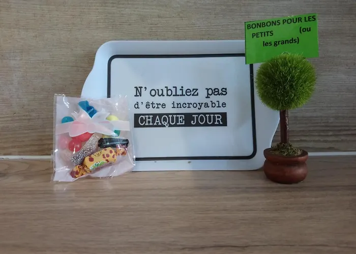 Appart Cosy Brest (Les 4 moulins)